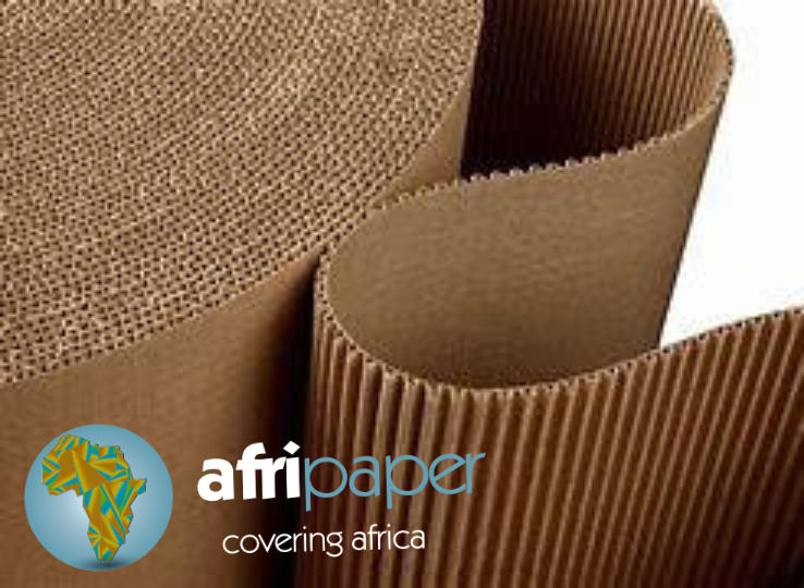 SFK Corrugated Board Roll